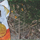 Illustration for article titled Clever ads piece together trash to make fun of people who litter